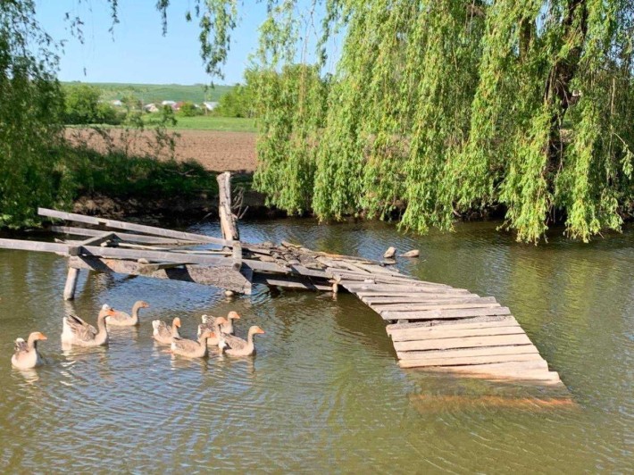 Продаж великого майнового комплексу у м. Тисмениця. - фото 1