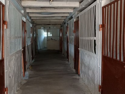 КОНЮШНЯ , постой лошади Васильков