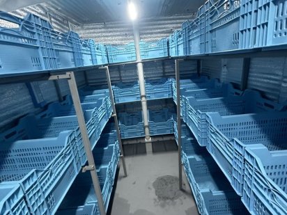 Камеры для выращивания культур Орловщина