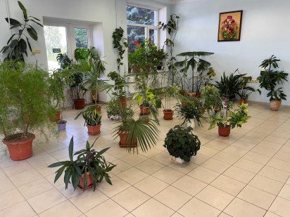 Оренда офісу від 15 до 100 м.кв. у Білогородці, без передоплати, з ПДВ Белогородка