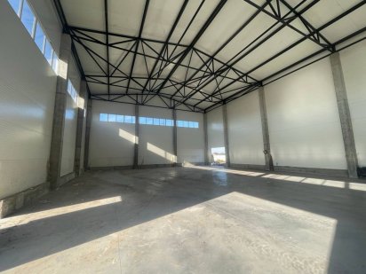 Складське приміщення 756 м2 с. Святопетрівське Святопетровское