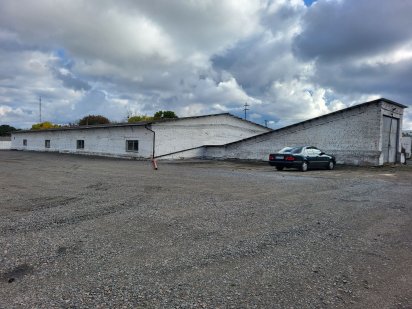 Картоплесховище. склад. сто. здам в оренду Рівне