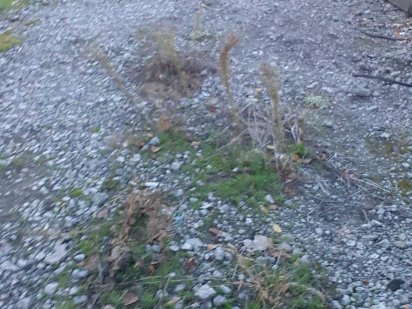 Оренда майданчиків відкритого зберігання Днепр