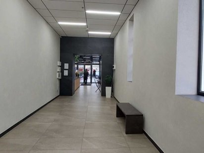 Оренда холу в ТЦ під продаж новорічних прикрас Винница