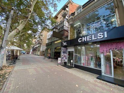 Соборная напротив Каштанового сквера 300м 70000грн Миколаїв