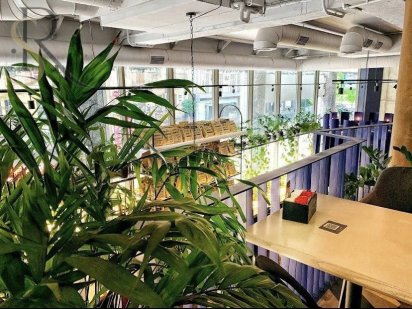 Оренда ресторану  Центр Фасад Золоті Ворота Велика Житомирська Без% Киев