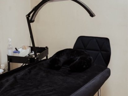 Оренда місце Николаев