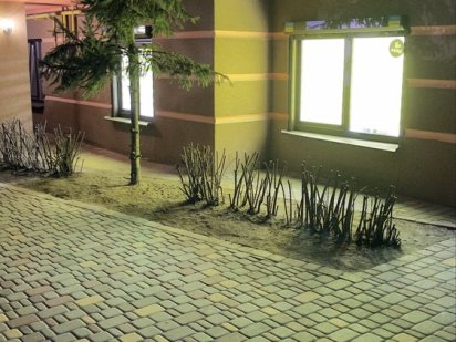 Приміщення в оренду Софіївська Борщагівка