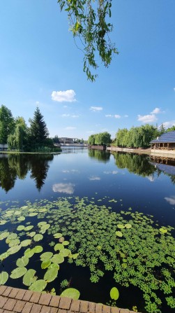 Конча Заспа, Козин аренда дома с выходом на Днепр - фото 1