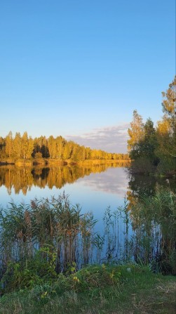 Дачний будинок славутич - фото 1