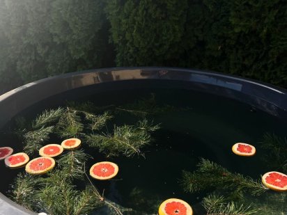 Аренда дома с бассейном, бильярдом, сауной, чаном посуточно Киев