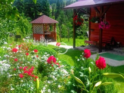 Відпочинок у Яблуниці Яблуниця