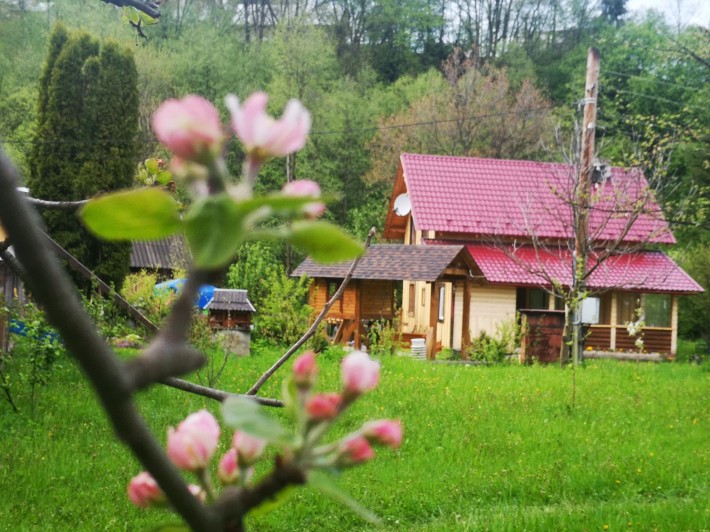 Котедж в Карпатах «Карпатський світанок " чекає саме на тебе!! - фото 1