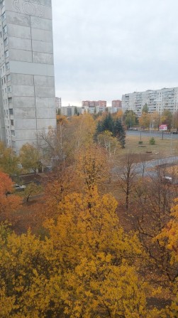 LS13Cдам в долгострочную аренду 1квартиру метро Алексеевская - фото 1