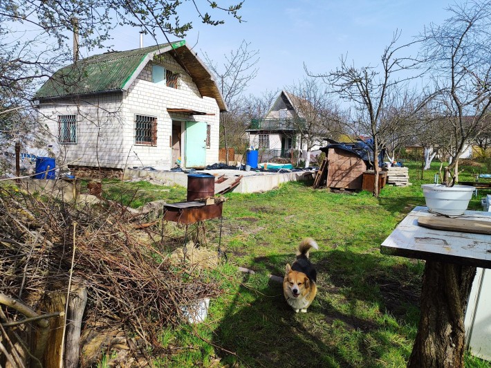 Продається гарна сонячна дачна ділянка з будинком - фото 1