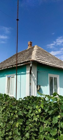 Продам дом Овидиополь 25 сот земли - фото 1