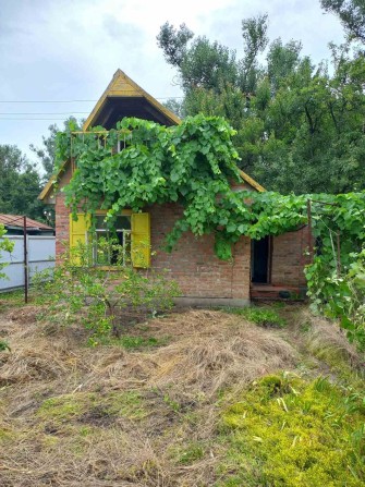 Продам дачу,кооператив"Дніпровський Залив" по трасі на Горішні Плавні. - фото 1