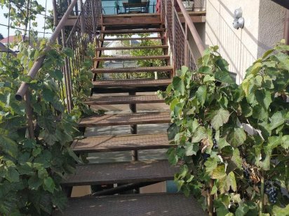 Подобова оренда кімнат Берегове