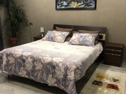 Квартира по суточно (Лётный) Коростень