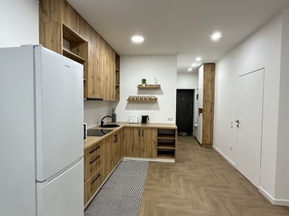 Двокімнатна квартира подобово Мукачево Мукачево