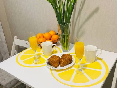 Шикарная квартира , больница Мечникова , Центр Дніпро