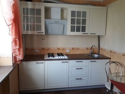 Своя люкс квартира однокомнатная с евро-ремонтом в центре города Житомир