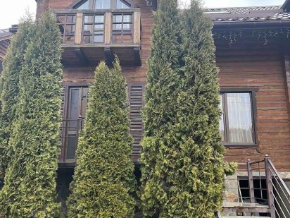 Сдам в аренду гарний будинок в Буковель -Паляниці, Буковель. Поляниця