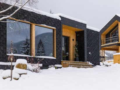 Відпочинок в Буковелі. Татарів. Будинок у горах Татарів