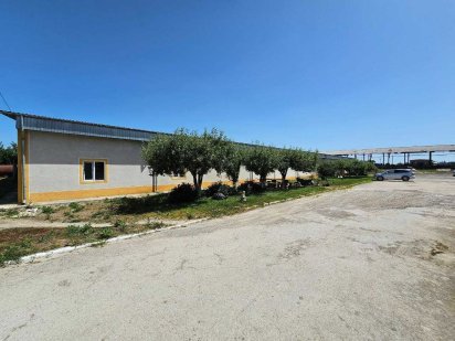 Комерційне приміщення (склади) для БІЗНЕСУ в м.Борщів Борщев