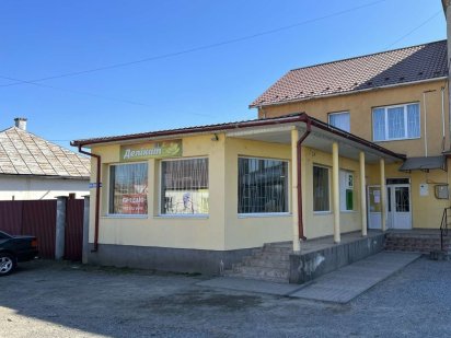 Комерціна нерухомість в Закарпатській обл. с.Підвинограв вул. Ардовець Виноградів