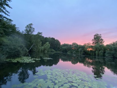 Продаж комплексу Калуш