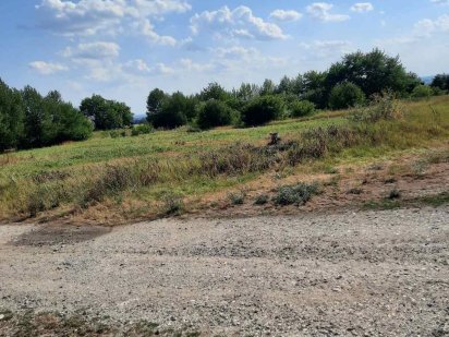 Продаж, зерносклад з навісами та земельними ділянками! Кам'янець-Подільський