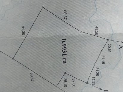 Продається фермерське господарство. Кам'янець-Подільський