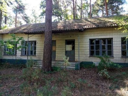 Будівлі дитячого табору Сокіл, 1979 кв. м, вул. Давидчука, 63 Ирпень