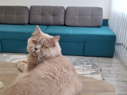 Продаж офісного приміщення Рівне, центр, терміново Рівне