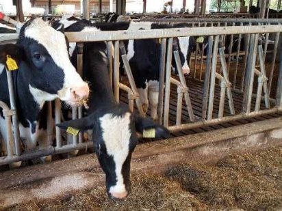 Продам Діюче Агропідприємство Житомир