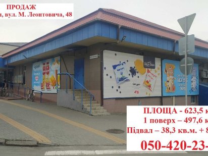Продаж м. Тульчин, вул. Миколи Леонтовича, 48. Тульчин