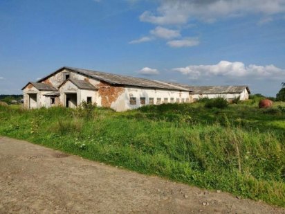 Ферма, Керівник,Телятник, Стайня Богородчаны