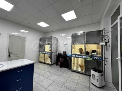 Продажа ветеринарной клиники  ,можно под стоматологию,салон красоты Петропавловская Борщаговка