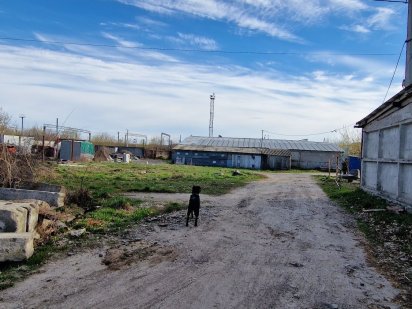 Продаж приміщення з земельною ділянкою 1,0 га Шкарівка