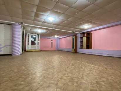 Аренда помещения 270 м.кв! По улице Дворцовой. Краматорск