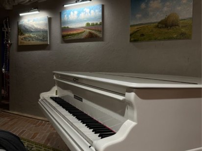 Здається приміщення в оренду подобово для заходів Умань