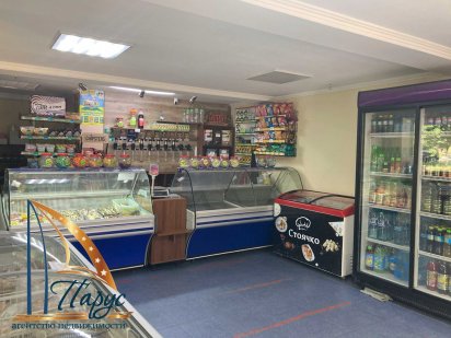 Продовольчий магазин на Центральному Бульварі, з обладнанням.