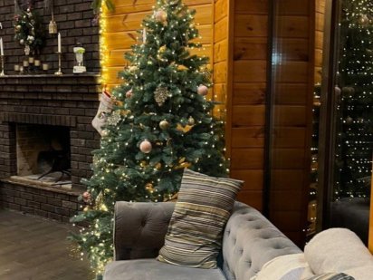 Будинок с басейном під Київом. "Хвоя"у Борисполі. Бориспіль