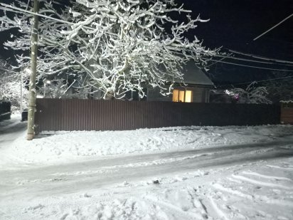 Здається будинок На будь-який термін на новий рік Житомир