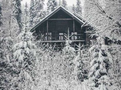 оренда будинку, шале, котеджу, 8+осіб, відпочинок, Поляниця, Буковель Поляница