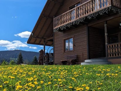 Здається котедж Карпатська модринка Ворохта