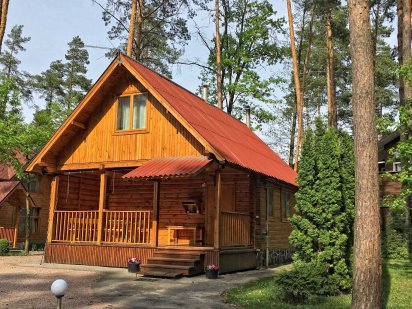 Новорічні свята в будиночку із лазнею мальовниче місце с. Романків Романків