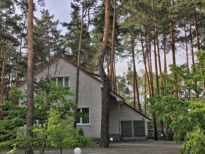 Новорічні свята в затишному будинку мальовниче місце село Романків Романків