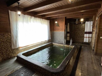 Будинок Більярд Баня Басейн входить у вартість Хотянівка Хотяновка